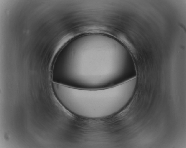 X0000097751384200803070832