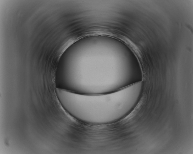X0000097751385200803070832
