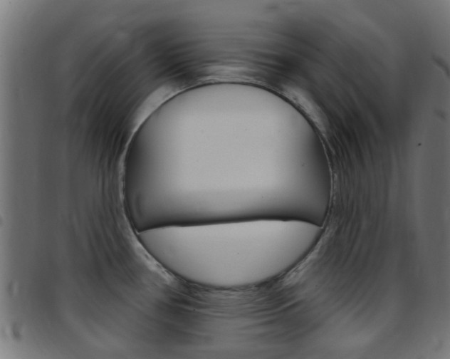 X0000097751386200803070832