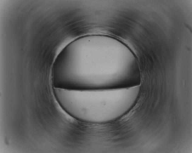 X0000097751387200803070832