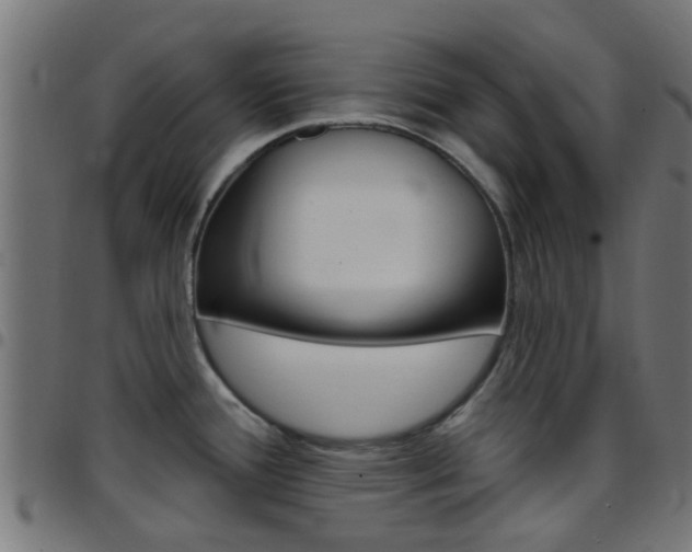 X0000097751388200803070832