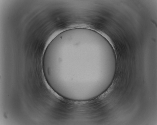 X0000097751389200803070832