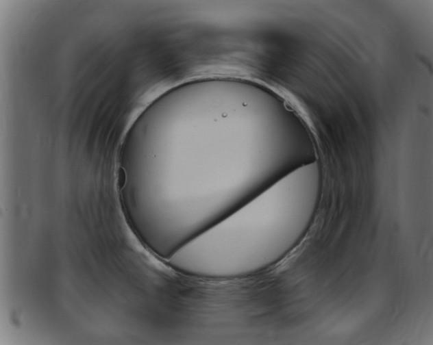 X0000097751390200803070832
