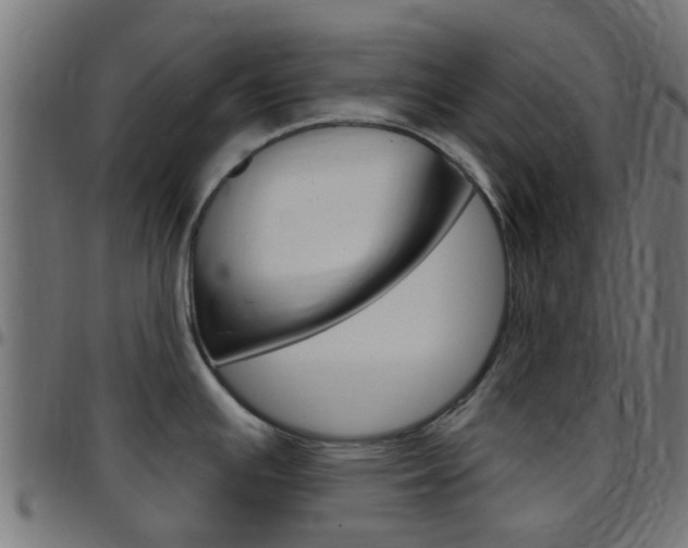 X0000097751391200803070832