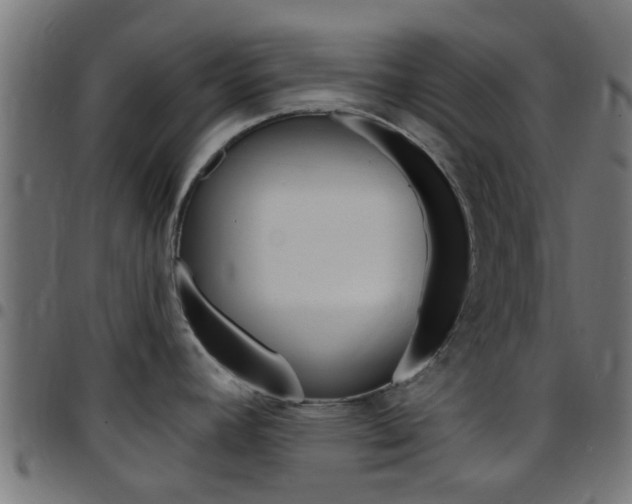 X0000097751392200803070832