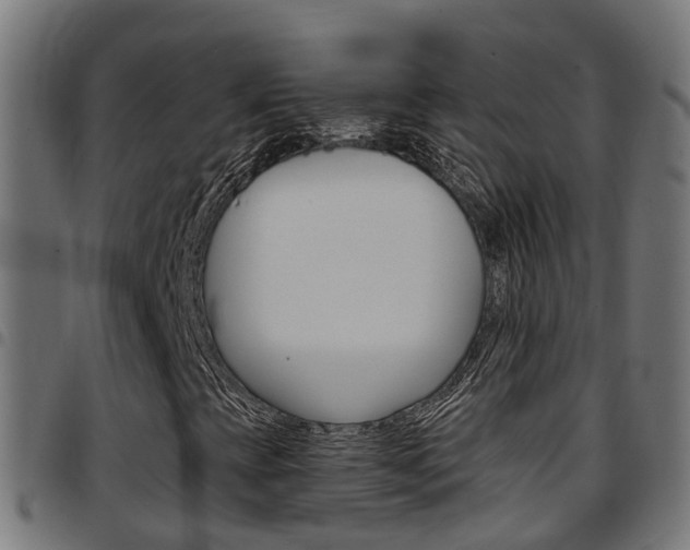 X0000097751393200803070831