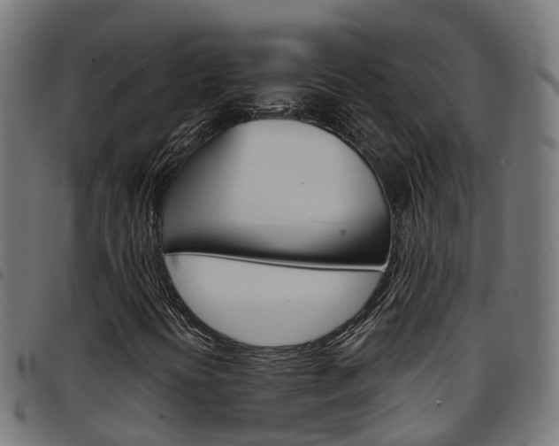 X0000097751394200803070831