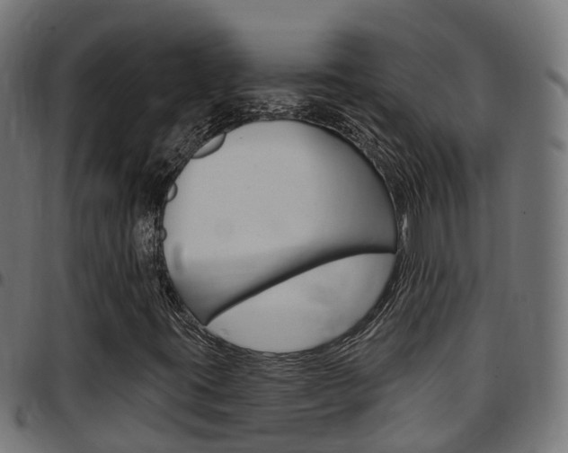 X0000097751395200803070831