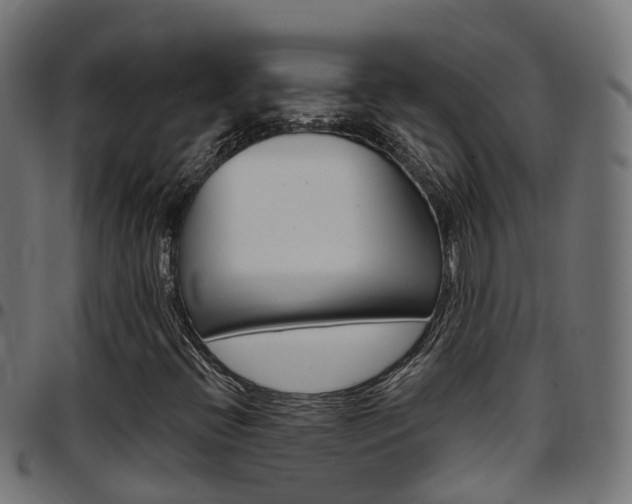 X0000097751396200803070831