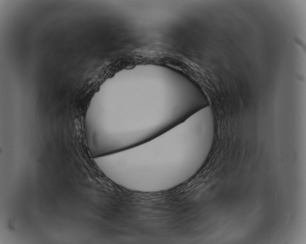 X0000097751397200803070831