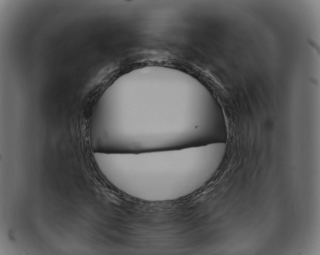 X0000097751399200803070831