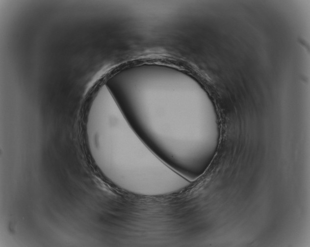X0000097751400200803070831