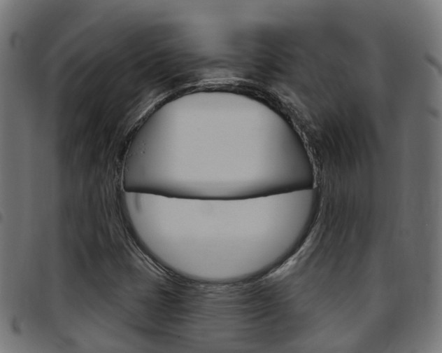 X0000097751401200803070831