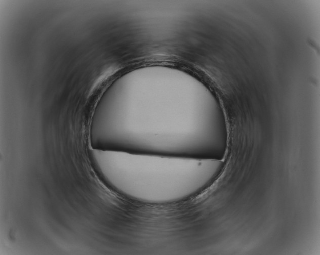 X0000097751402200803070831