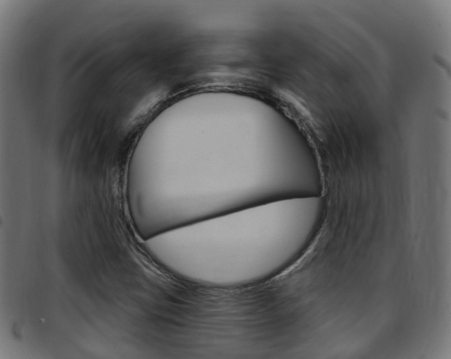 X0000097751403200803070831