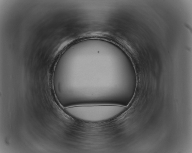 X0000097751404200803070831