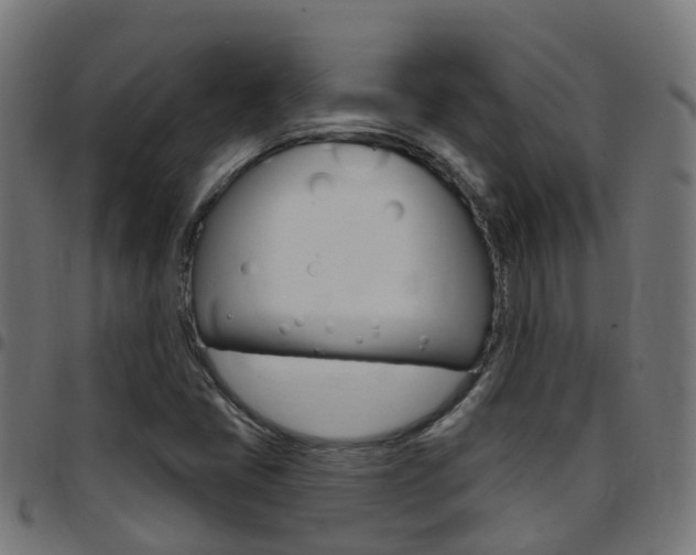 X0000097751405200803070831
