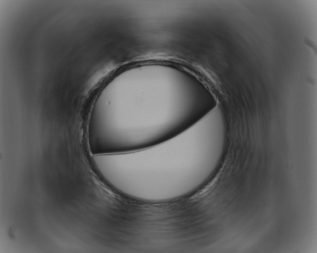 X0000097751406200803070831