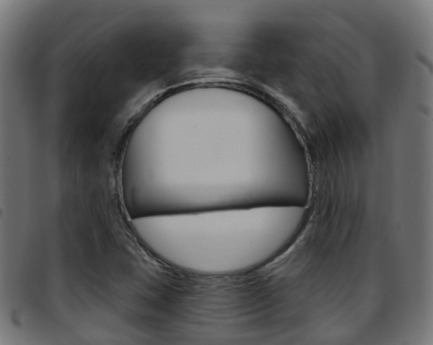 X0000097751407200803070831