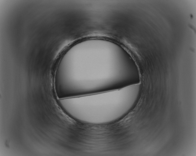 X0000097751408200803070831