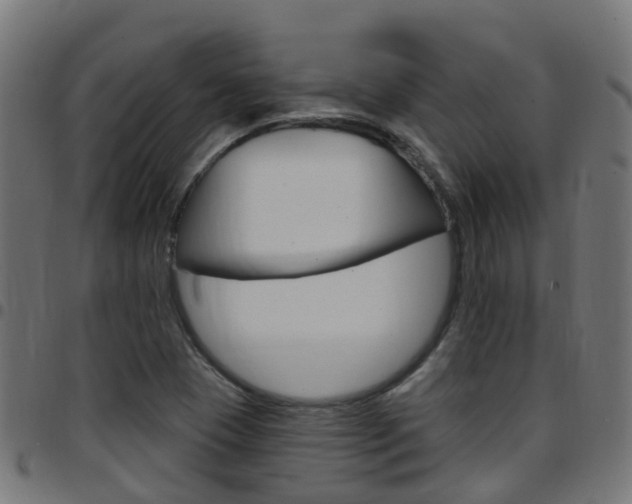 X0000097751409200803070831