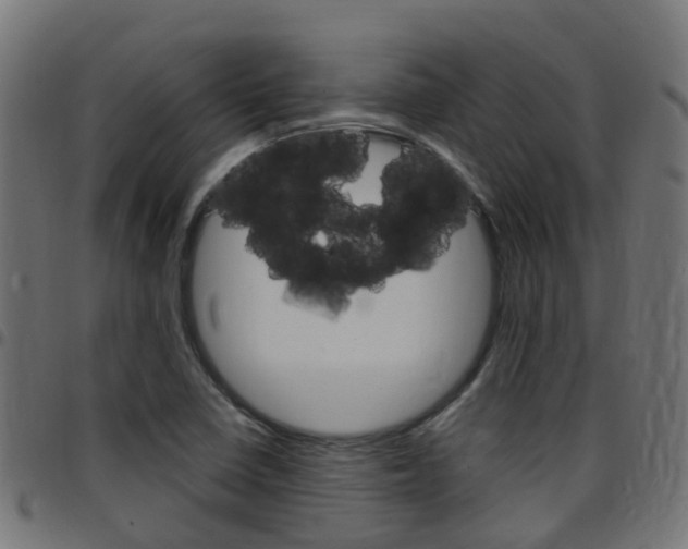 X0000097751410200803070831
