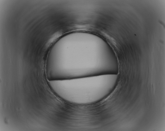 X0000097751411200803070831