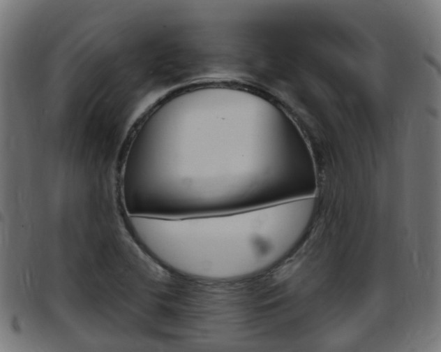 X0000097751412200803070831
