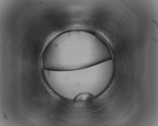 X0000097751413200803070831