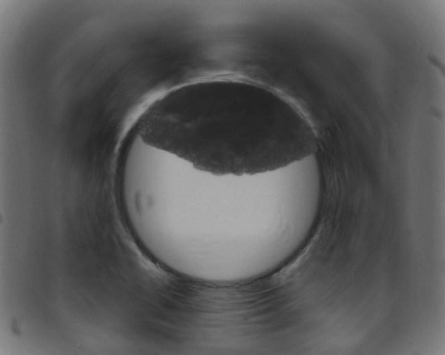 X0000097751414200803070831