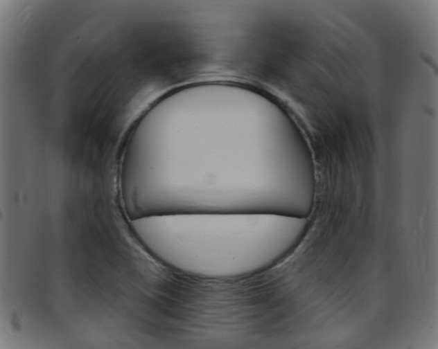 X0000097751415200803070831