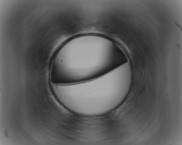 X0000097751416200803070831