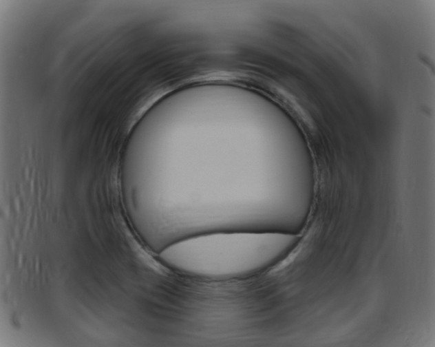 X0000097751417200803070831
