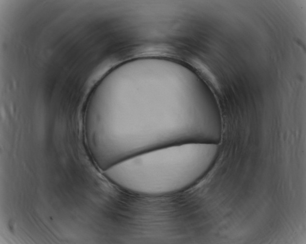 X0000097751419200803070831