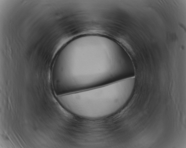 X0000097751420200803070831
