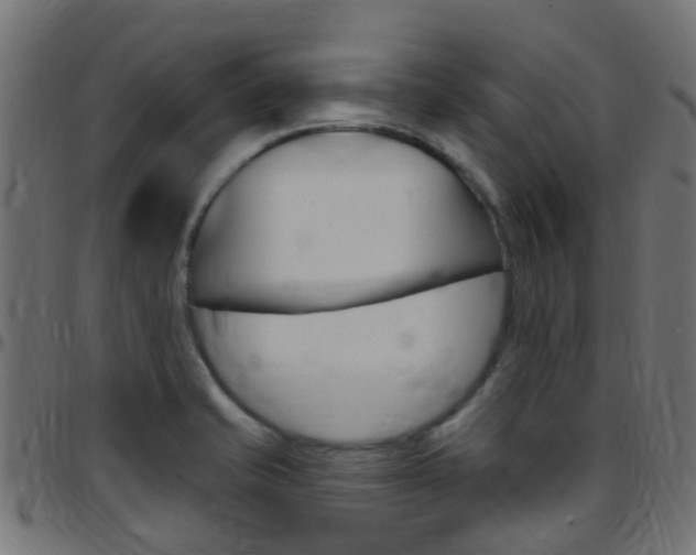 X0000097751421200803070831