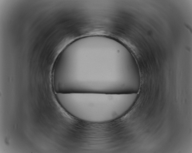X0000097751423200803070831