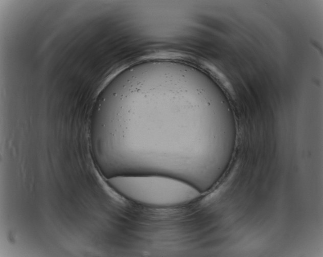 X0000097751425200803070831