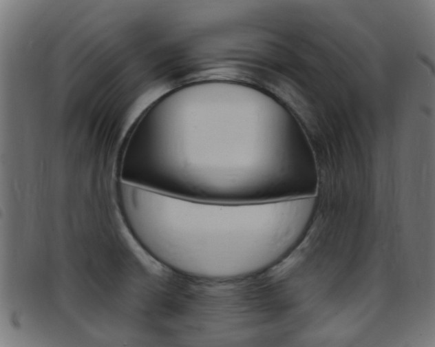 X0000097751426200803070831