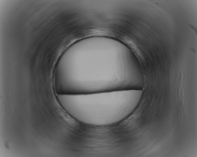 X0000097751427200803070831