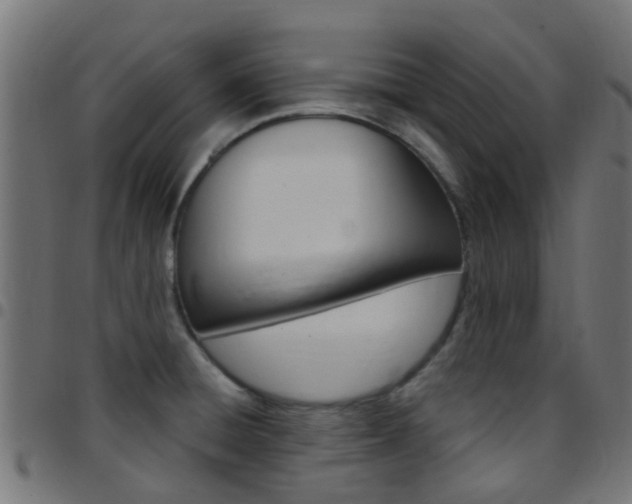X0000097751428200803070831