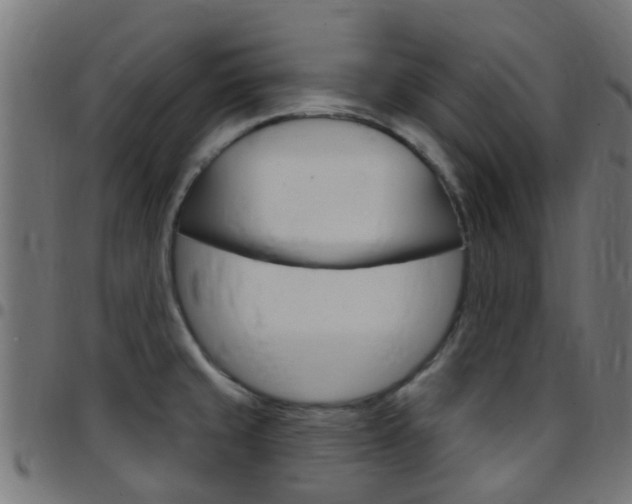 X0000097751429200803070831