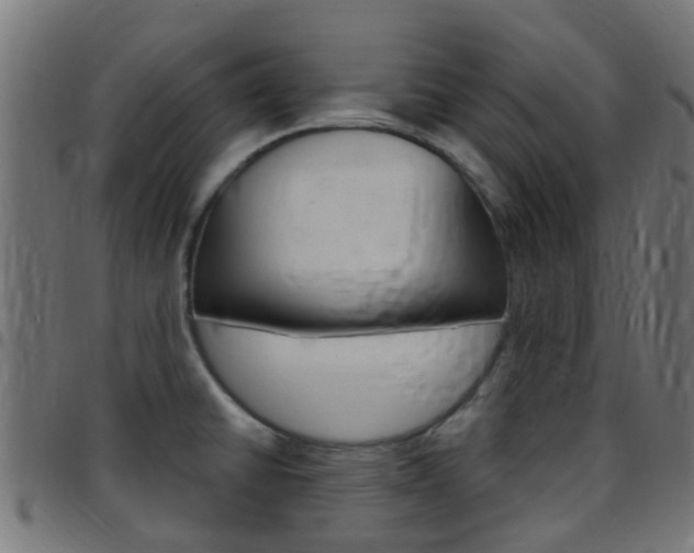 X0000097751430200803070831