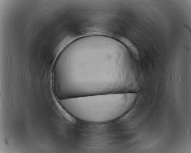 X0000097751431200803070831