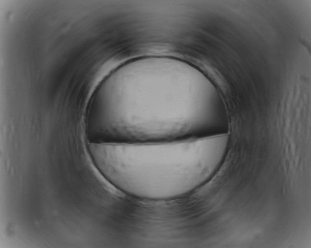 X0000097751432200803070832