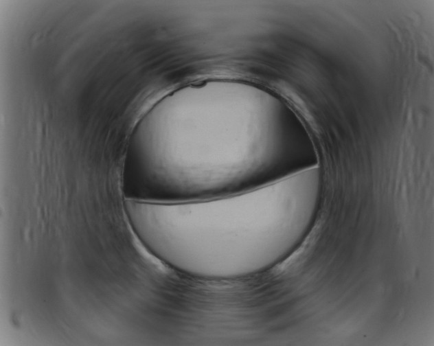 X0000097751433200803070832
