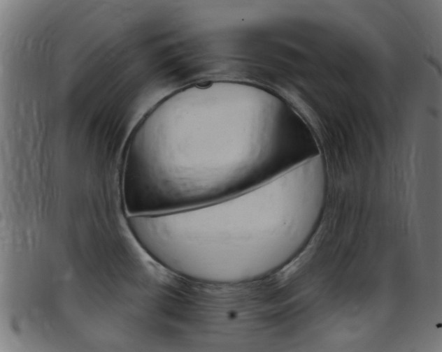 X0000097751434200803070832