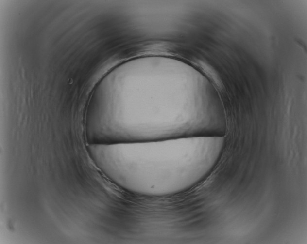 X0000097751435200803070832
