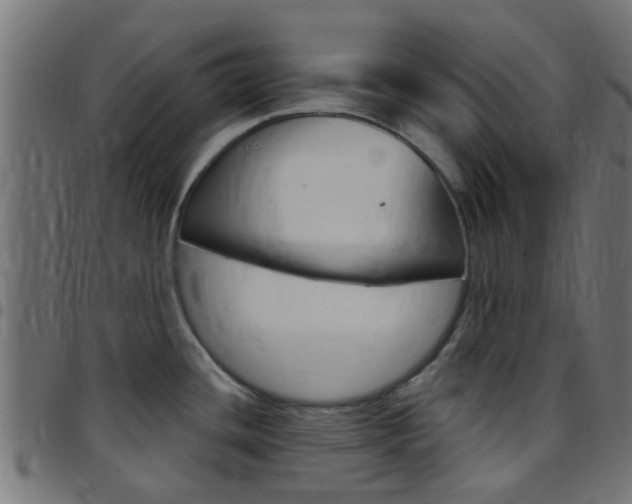 X0000097751436200803070832