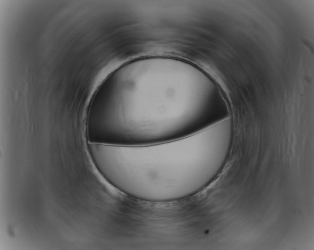 X0000097751437200803070832